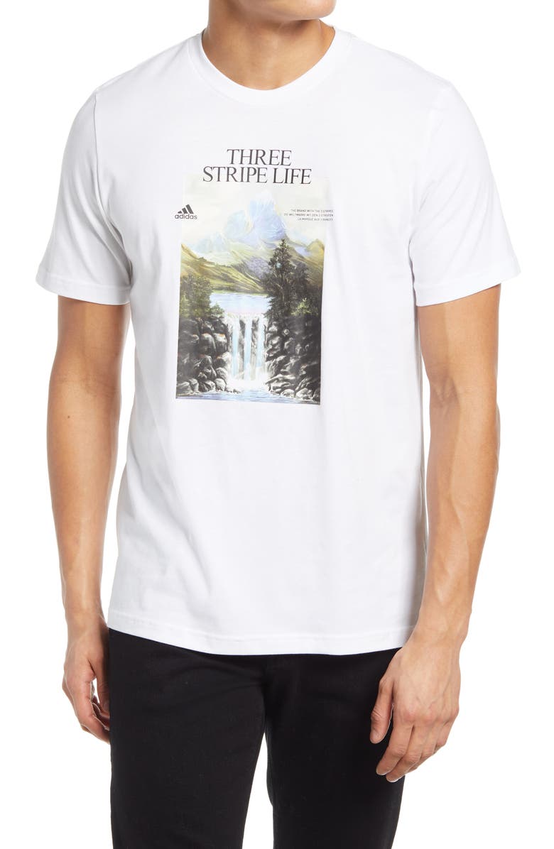 adidas Men's Mountain Graphic Tee, Main, color,