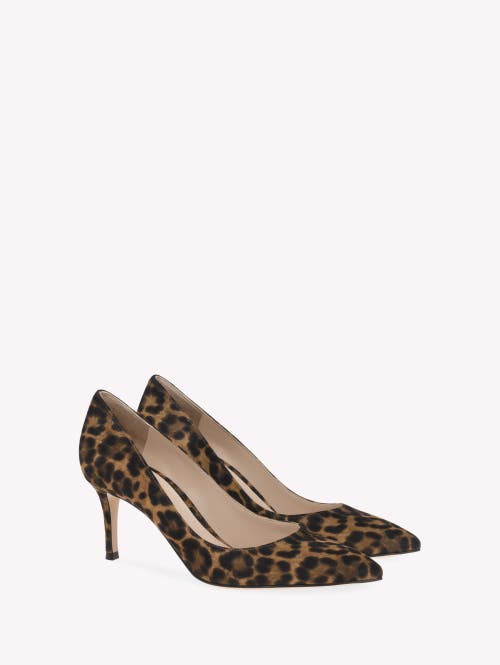 Shop Gianvito Rossi Gianvito 70 Pumps In Brown