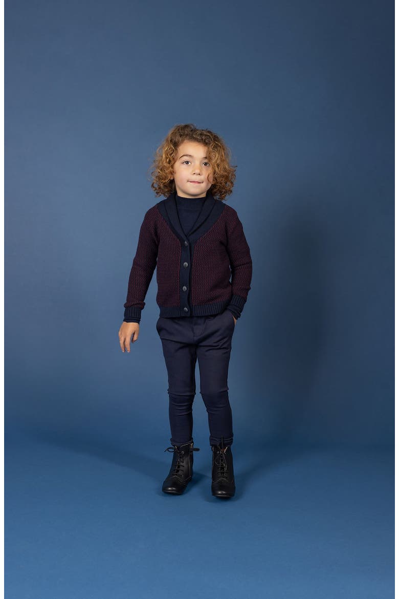 Looms Thin Stripe Collection - Cardigan, Alternate, color, Navy/Wine