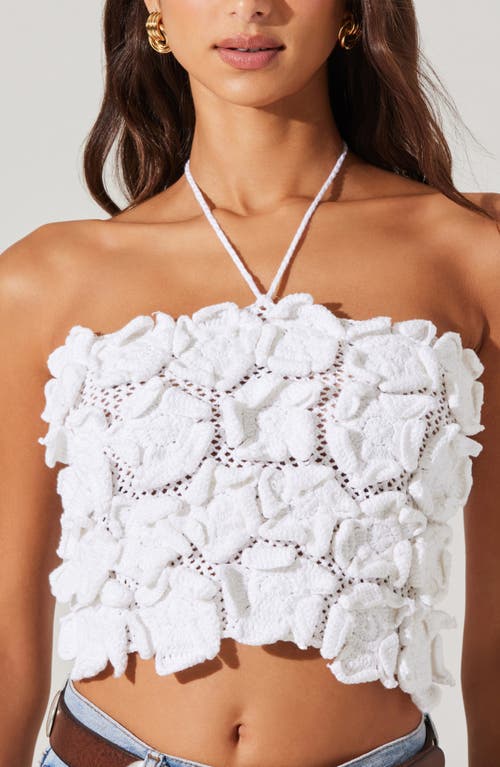 Astr The Label Primula Halter Cotton Crochet Crop Top