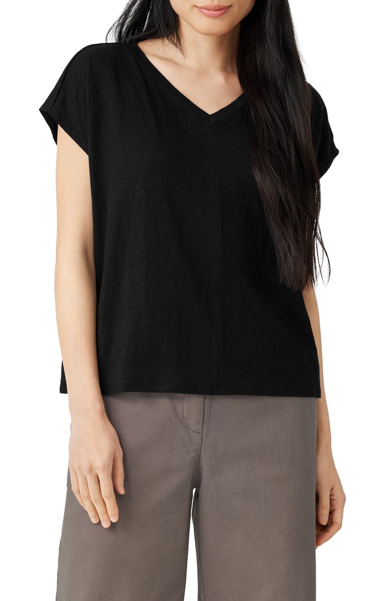 Eileen Fisher V-Neck Organic Linen T-Shirt, Main, color, 