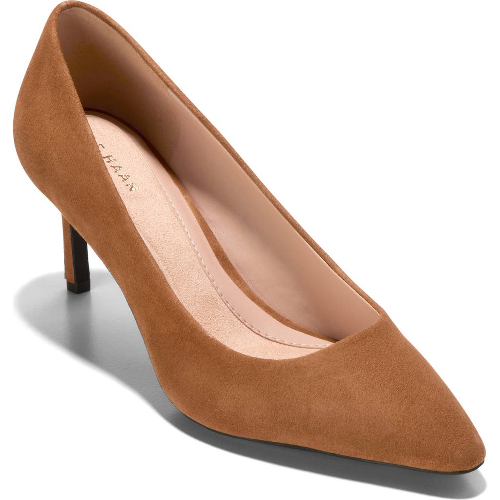 Cole Haan Vivica Pointed Toe Pump In Brown