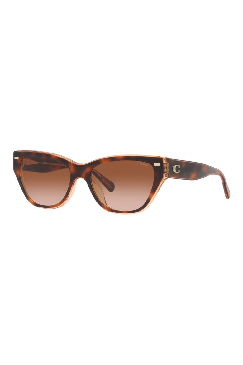 54mm Gradient Cat Eye Sunglasses, Alternate, color, TORTOISE