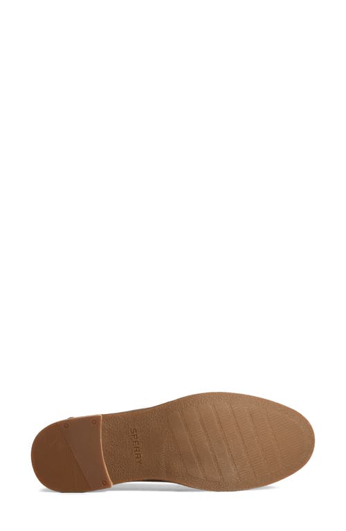 Sperry Seaport Penny Loafer In Brown