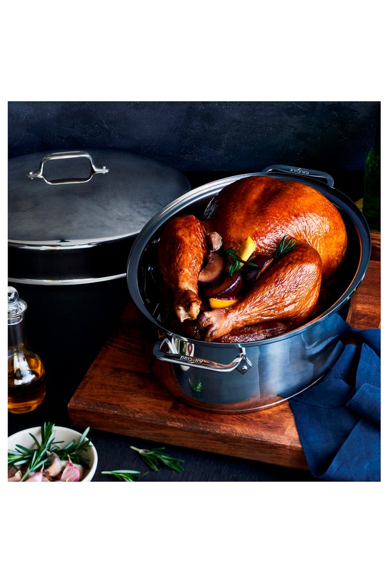 10-Quart Covered Oval Roaster & Lid, Alternate, color, SILVER