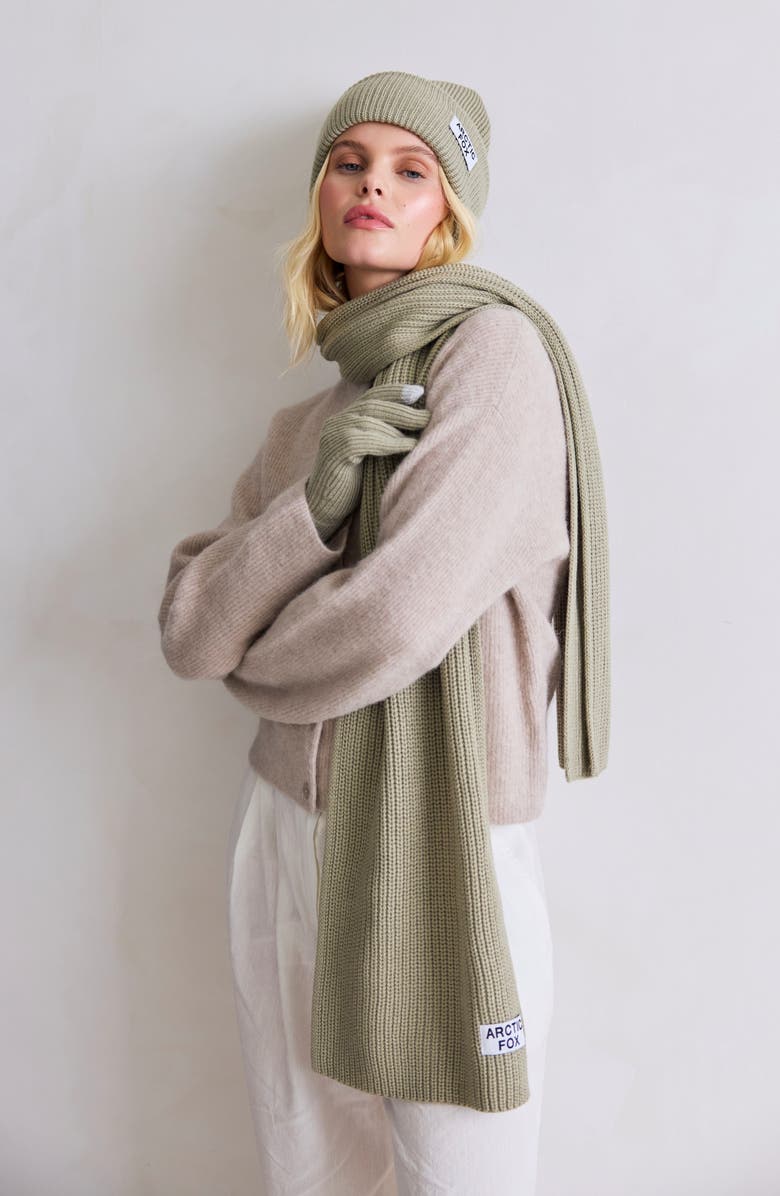 Arctic Fox & Co The Recycled Bottle Gloves, Alternate, color, Arctic Grey