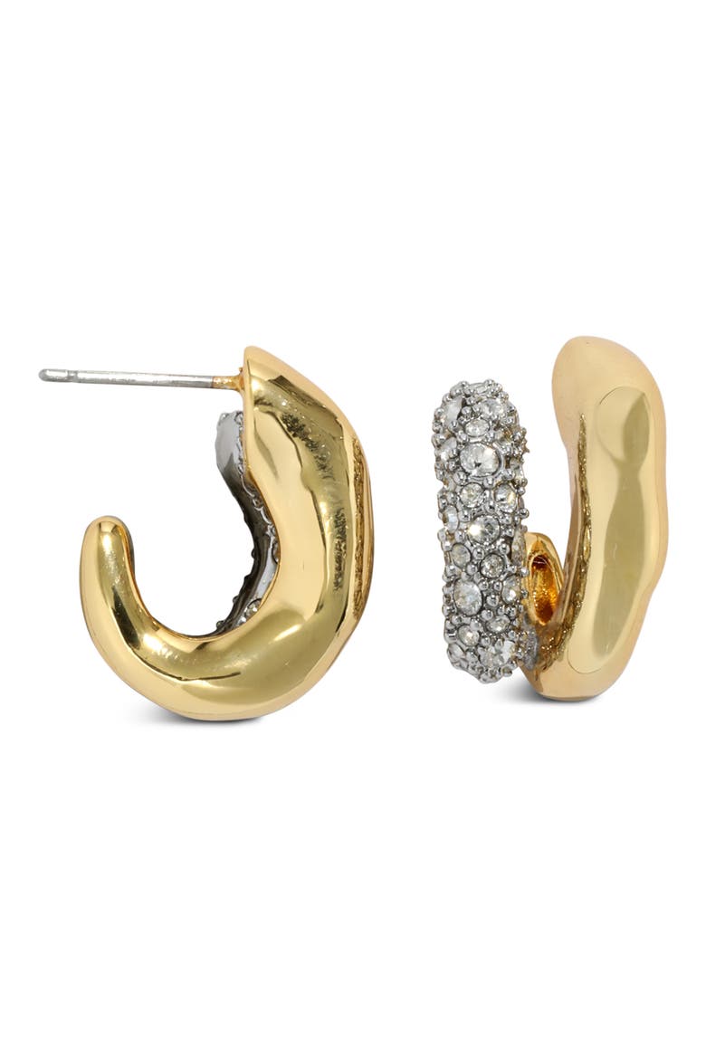 Solanales Crystal Double Hoop Earrings, Alternate, color, CRYSTALS