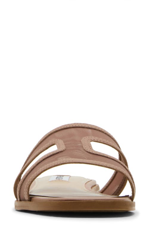 Steve Madden Hazel Slide Sandal In Brown