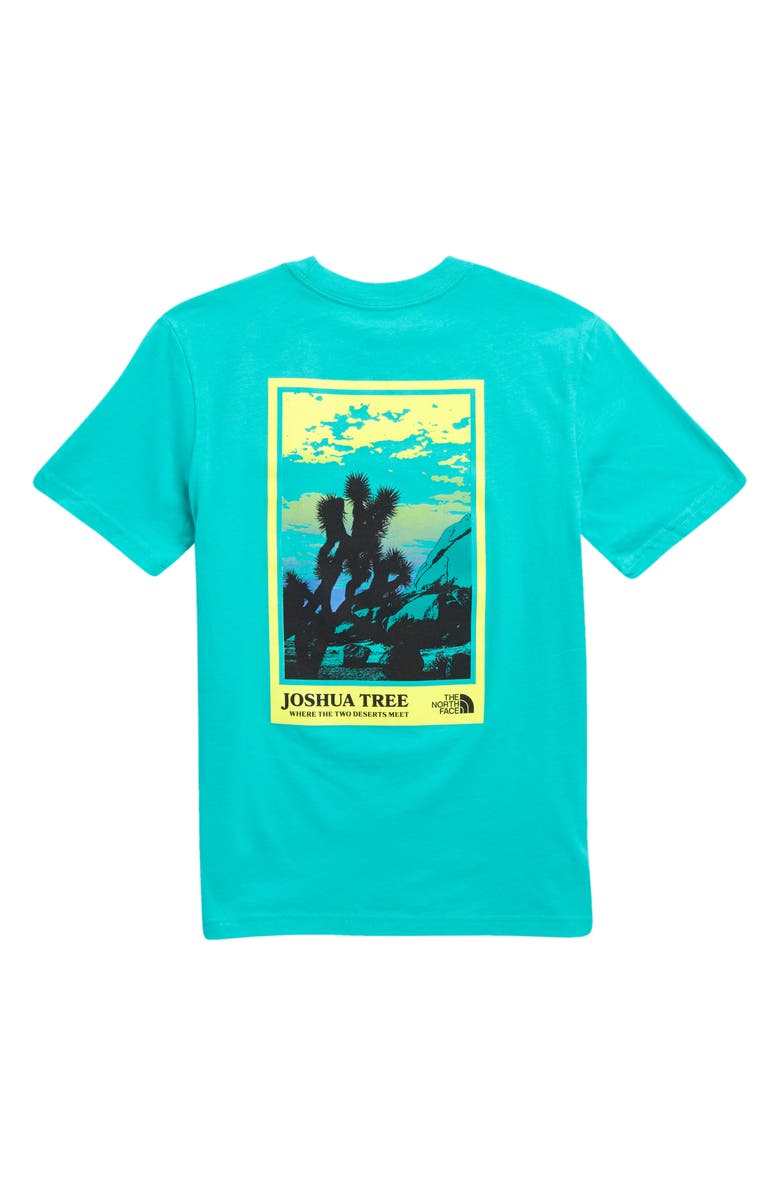 The North Face Kids' Adventure Cotton Graphic T-Shirt, Alternate, color, Geyser Aqua