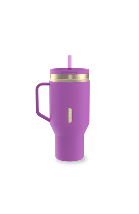 SnapSeal 30 oz Leakproof Travel Tumbler with Handle and Reusable Straw