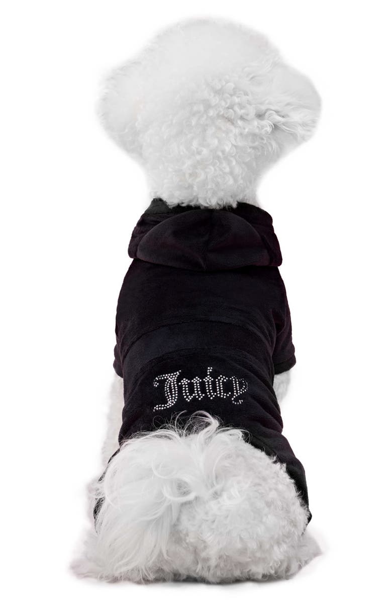 Juicy Couture Velour Dog Tracksuit, Main, color, Black