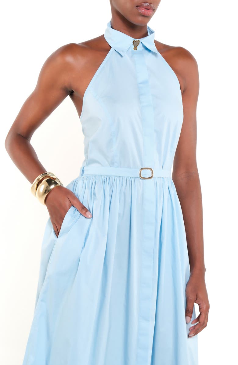The Lulo Project The Horizon Belted Ruffle Hem Sleeveless Maxi Dress, Alternate, color, 