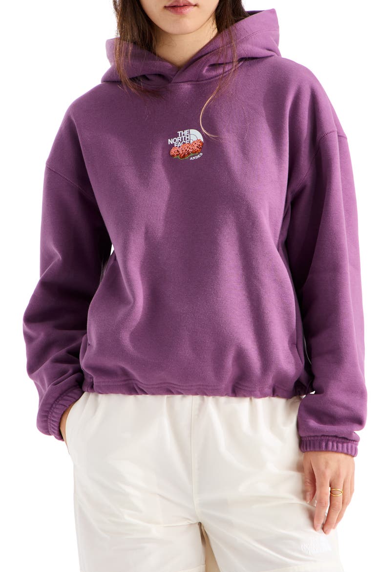 Places We Love - Andes Chuquiragua Pullover Hoodie, Main, color, CHROMA PURPLE