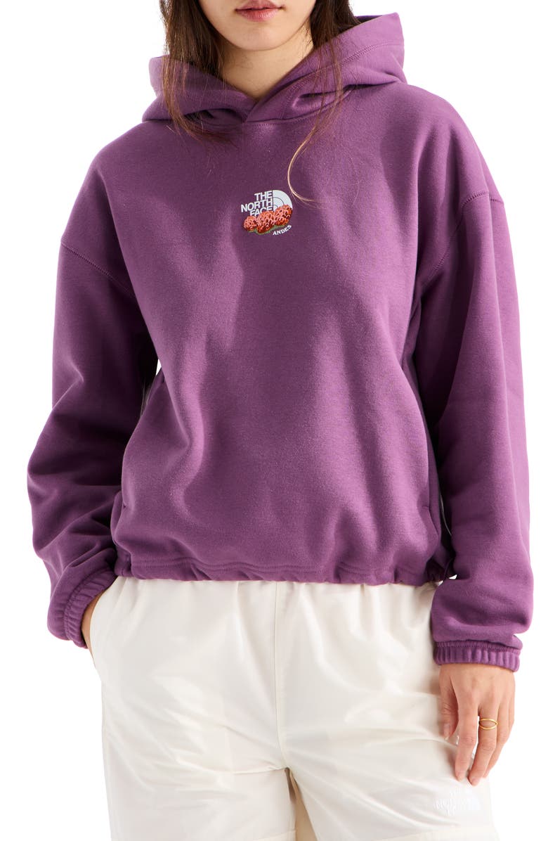 The North Face Places We Love - Andes Chuquiragua Pullover Hoodie, Main, color, Chroma Purple