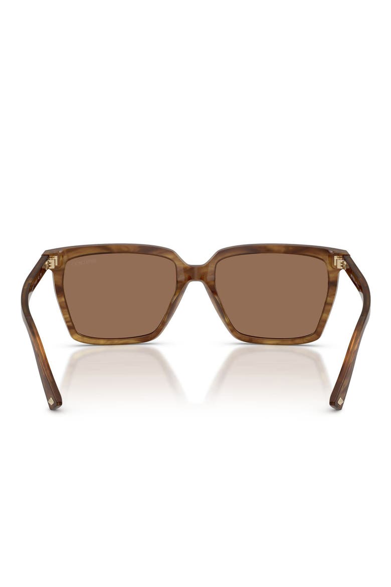55mm Square Sunglasses, Alternate, color, BROWN HAVANA / DARK BROWN