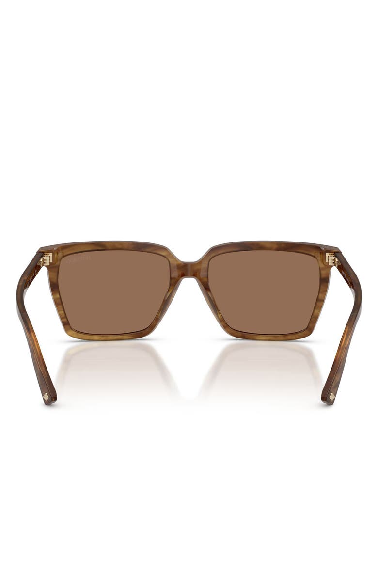Jimmy Choo 55mm Square Sunglasses, Alternate, color, Brown Havana / Dark Brown