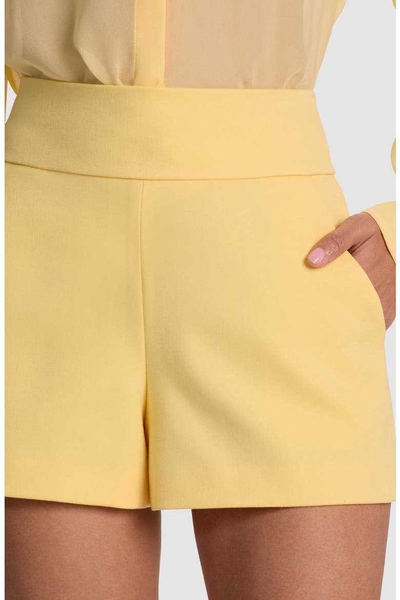Donald High Waist Shorts, Alternate, color, BUTTER
