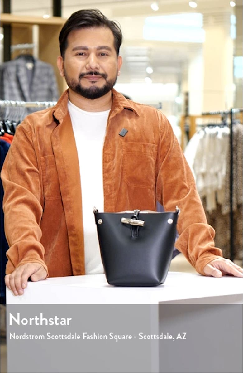 Extra Small Roseau Box Leather Bucket Bag, sales video thumbnail