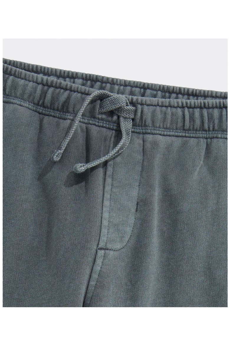 Kids' Surf Terry Straight Leg Pants, Alternate, color, SHELL GREY