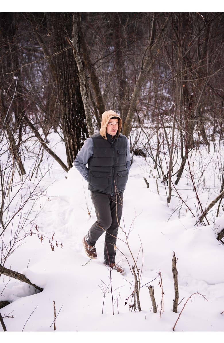 Mountain Khakis Pine Peak Down Vest, Alternate, color, Jackson Grey