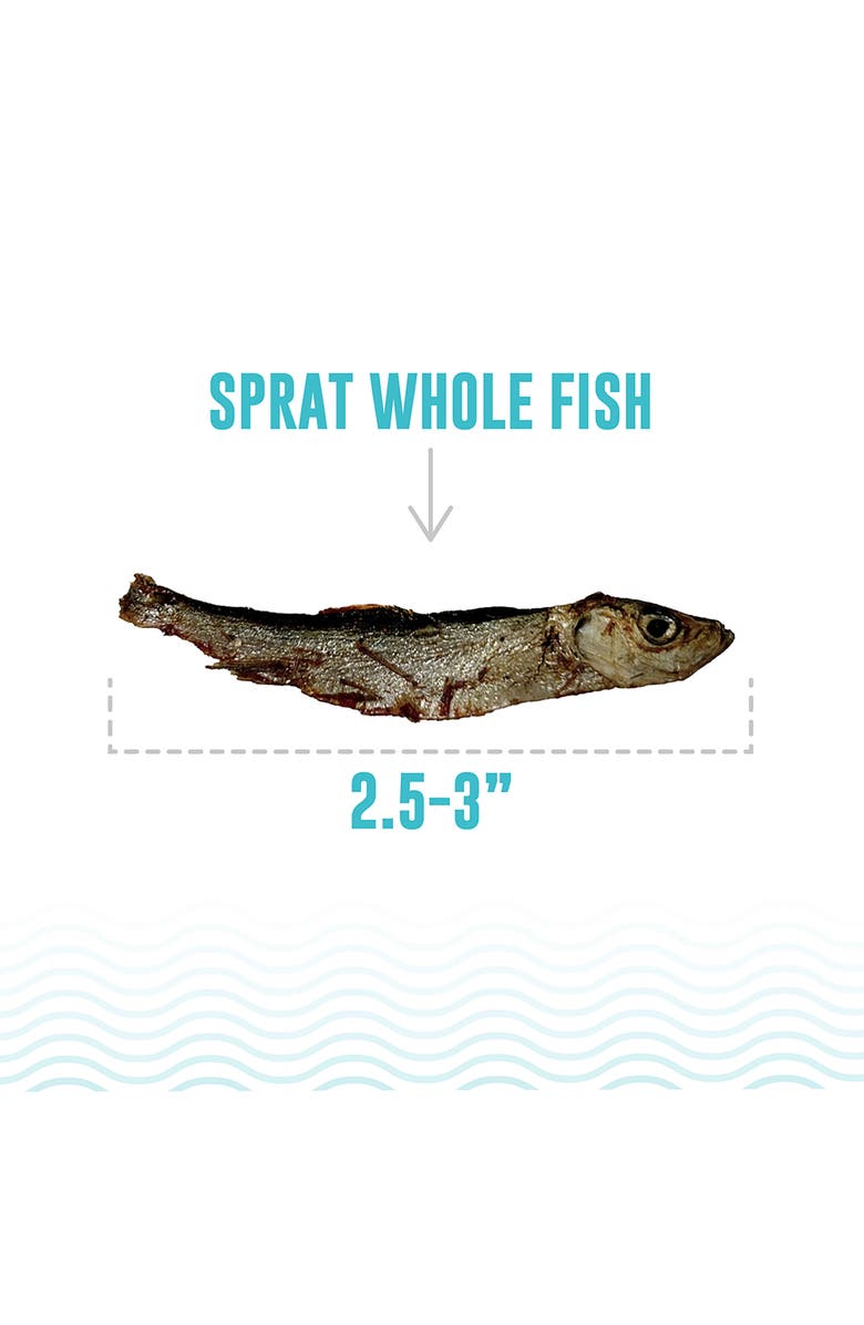 ICELANDIC+ Whole Fish Sprat 2oz Bag Crunchy Dog Treats, Alternate, color,