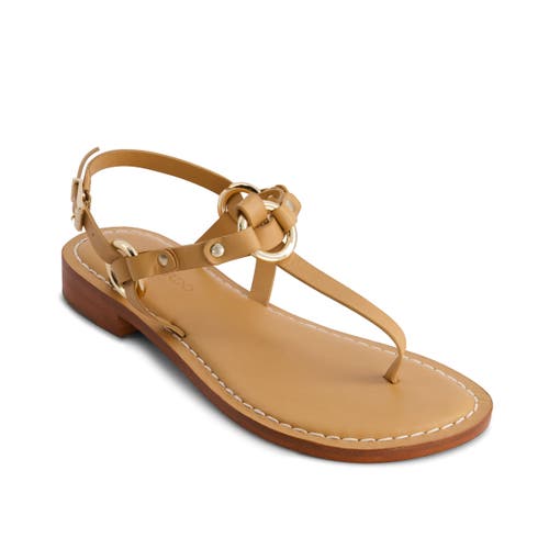 BERNARDO FOOTWEAR BERNARDO FOOTWEAR TUNI T-STRAP SANDAL