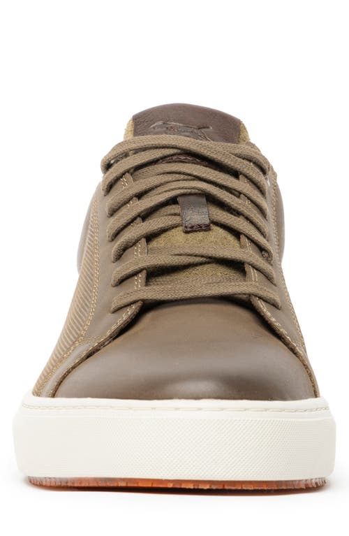 Rodd & Gunn Transit Sneaker In Sandstone