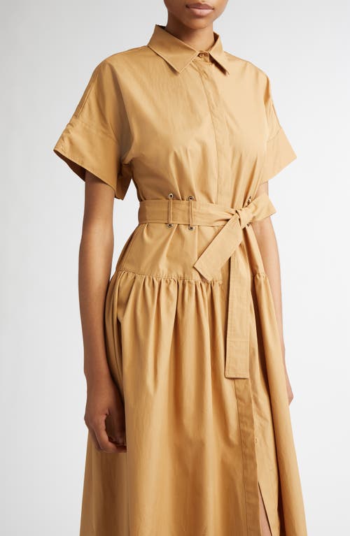 Max Mara Agoraio Belted Eyelet-embellished Cotton-poplin Midi Shirt Dress In Caramel