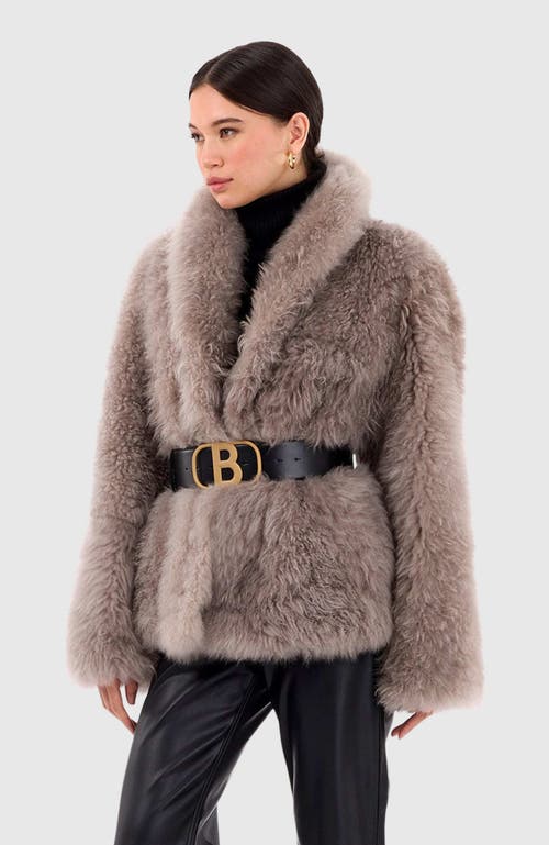 Gorski Cashmere Goat Jacket In Purple