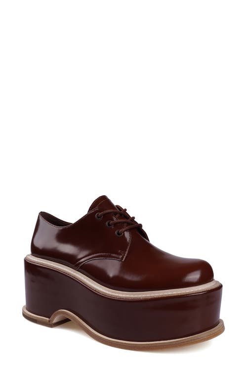 Artisan Crafted By Zigi Fenni Platform Derby in Brown Leather 