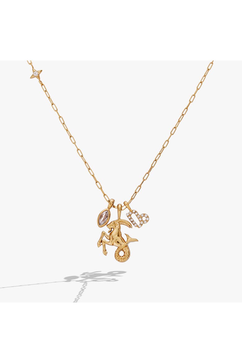 Capricorn Zodiac Charm Cluster Necklace, Main, color, Gold