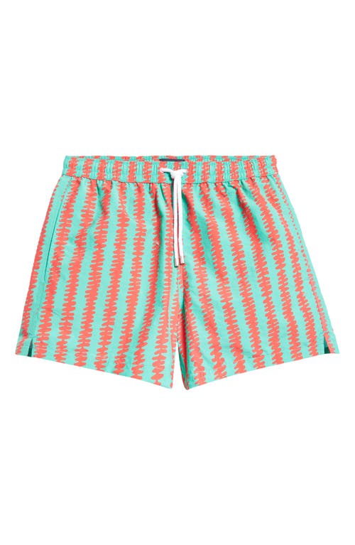 DRAKE'S DRAKE'S KELIM STRIPE DRAWSTRING SWIM TRUNKS 