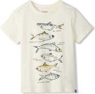 Hatley Kids' Fish Types Graphic T-Shirt