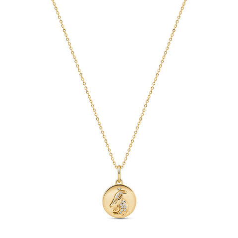 Beyond the Stars Zodiac Necklace
