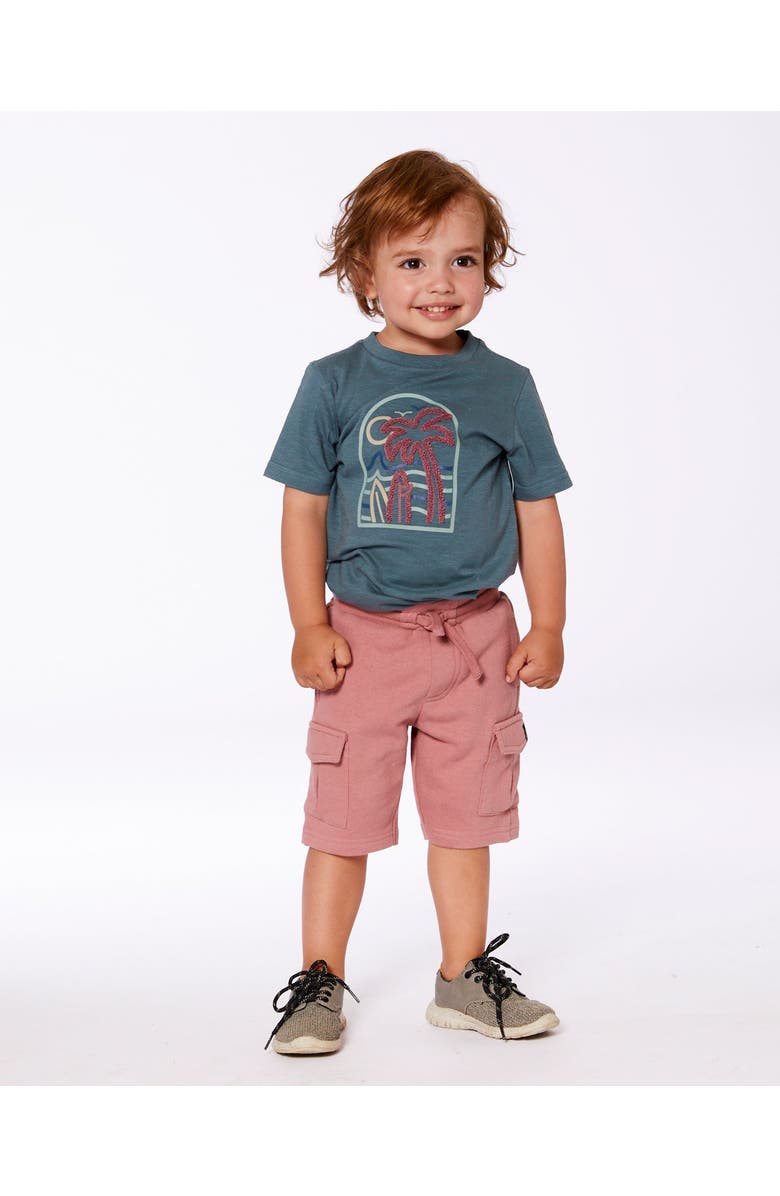 Deux par Deux Little Boy's Short Sleeve Organic Cotton Graphic Tee Teal And Dark Old Rose, Alternate, color,