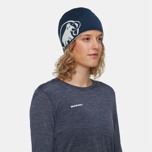 Mammut Logo Beanie In Gray