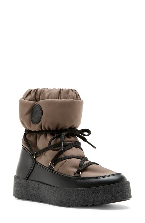 La Canadienne Easton Nylon Lace-up Winter Booties In Black Taupe Leather