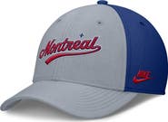 Nike Men's Nike Gray/Blue Montreal Expos Rise Swoosh Performance Flex Hat