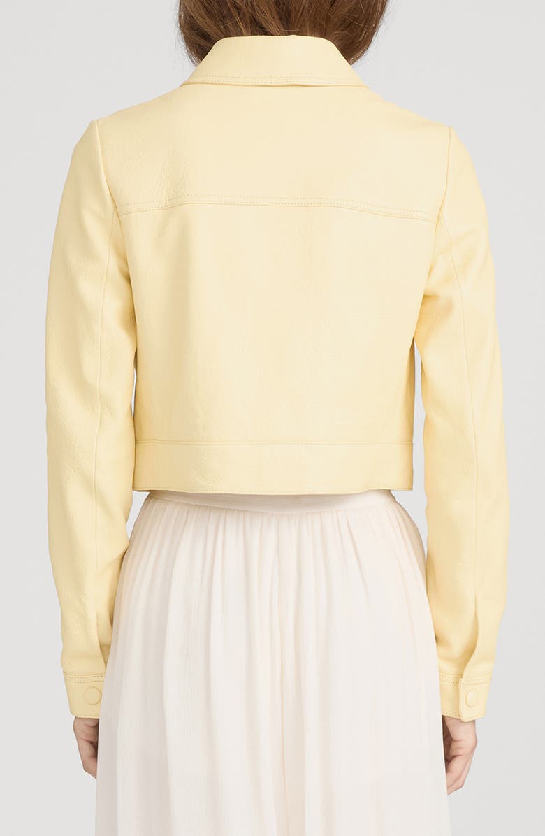 FRAME The Small Leather Jacket, Alternate, color, 