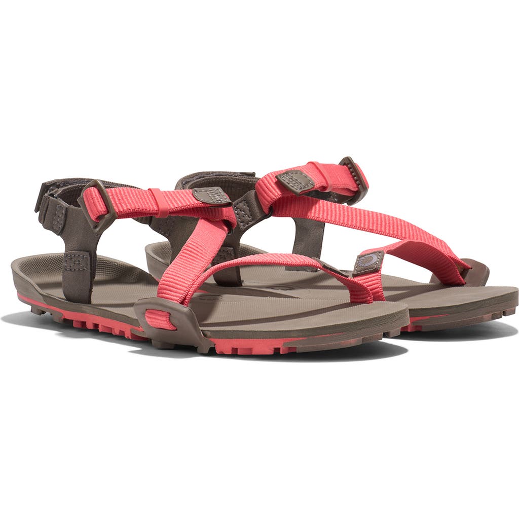 Xero Shoes Z-trail Ev Barefoot Hiking/running Sandal In Multi