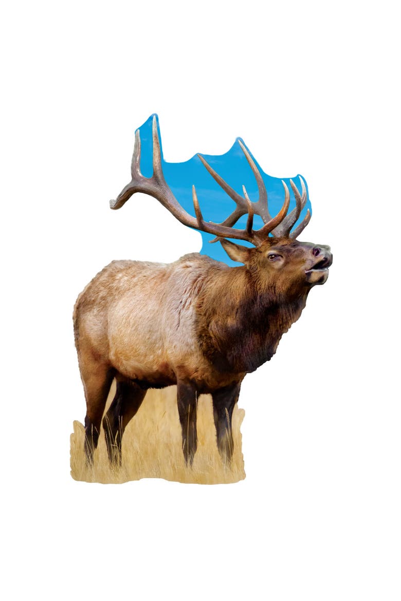Elk 100 Piece Shaped Jigsaw Puzzle, Alternate, color, Multicolor