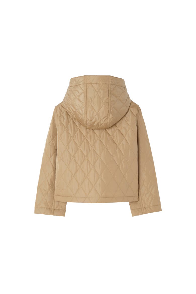 Quilted Nylon Parka, Alternate, color, Flax beige