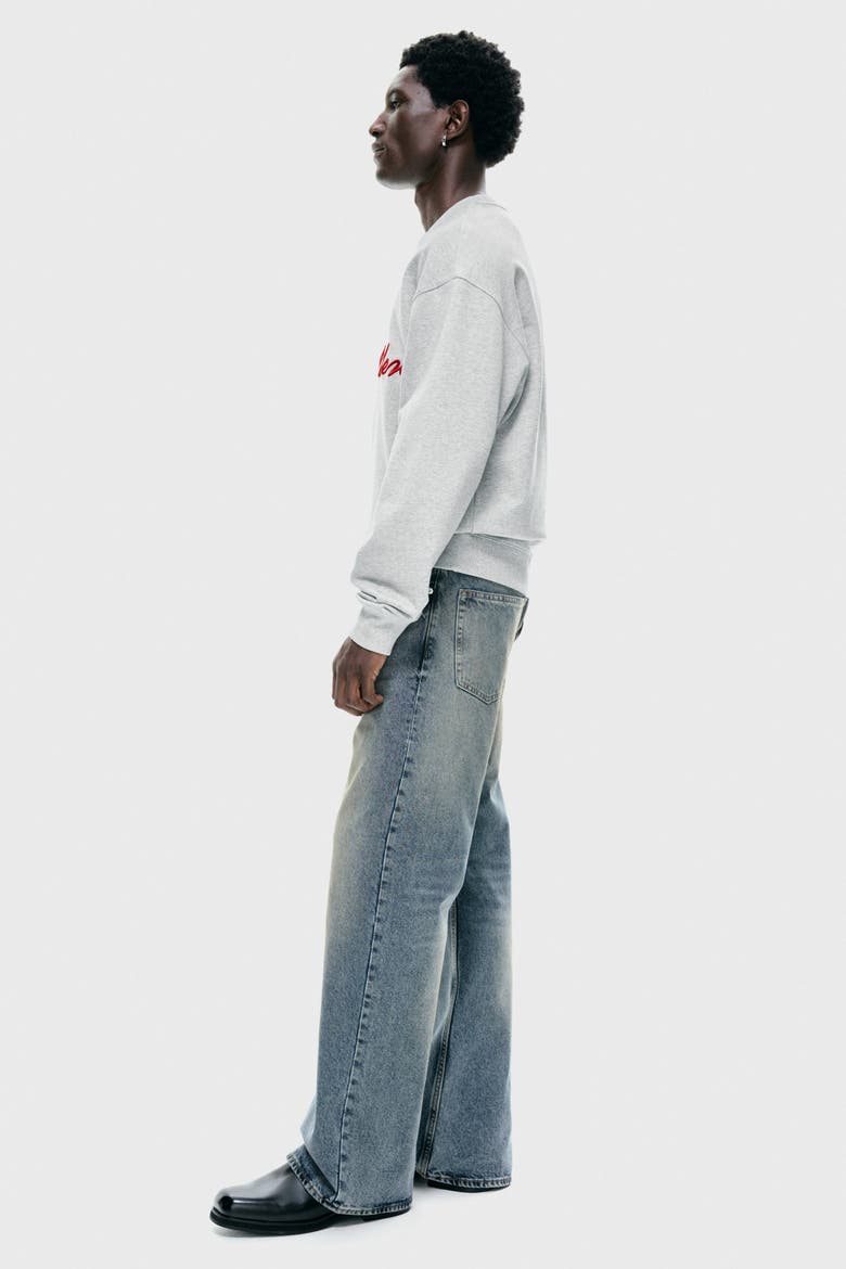 Loose Fit Sweatshirt, Alternate, color, Light grey marl/Golden