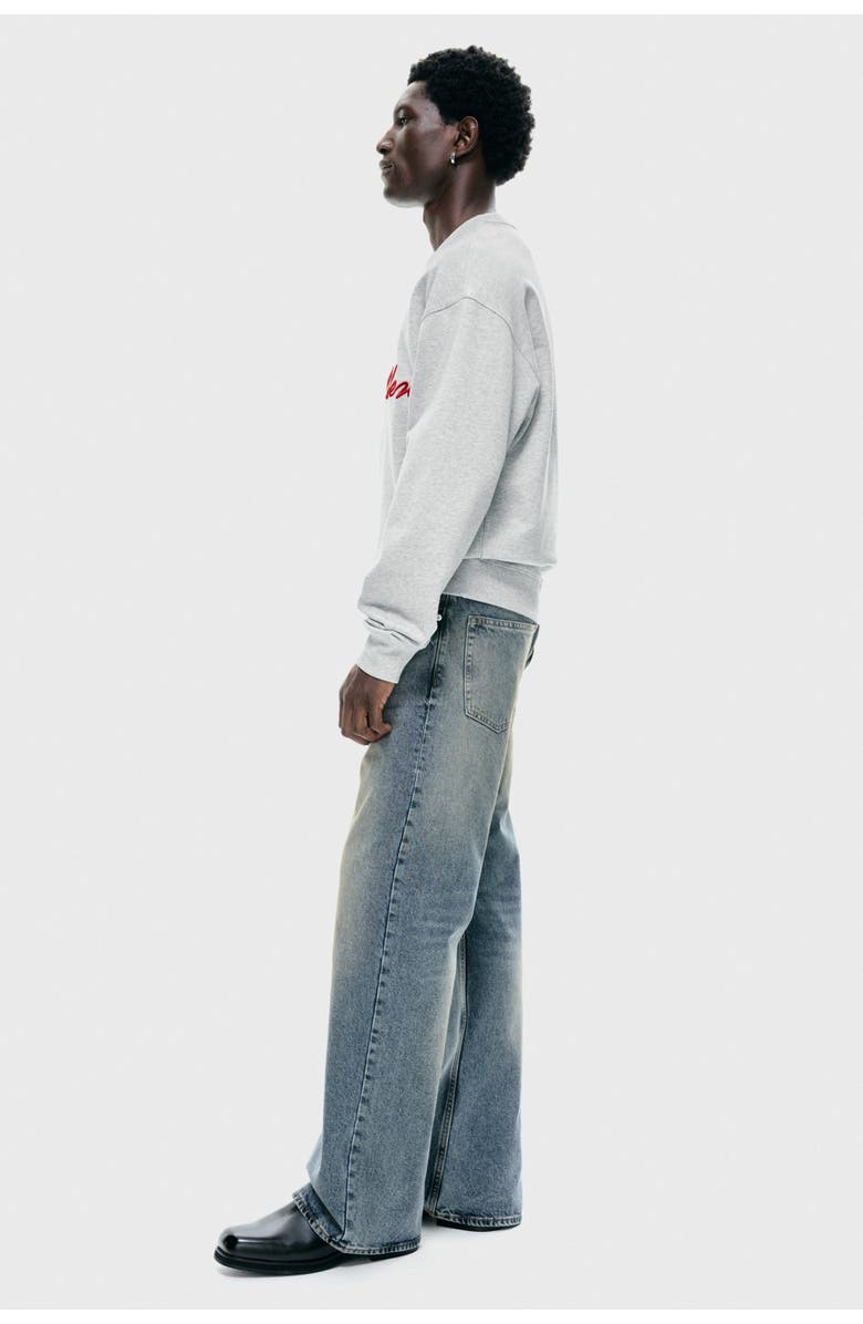 H&M Loose Fit Sweatshirt, Alternate, color, Light Grey Marl/Golden