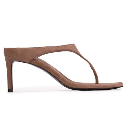 Black Suede Studio Laurel 65 Suede Mule In Brown
