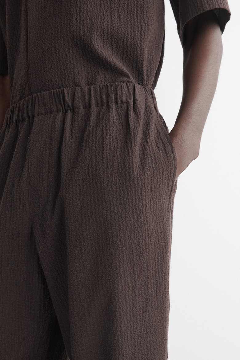 Seersucker Regular-fit Tapered Pants, Alternate, color, BROWN