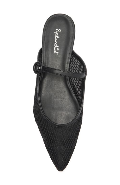 Splendid Mulan Mesh Mule