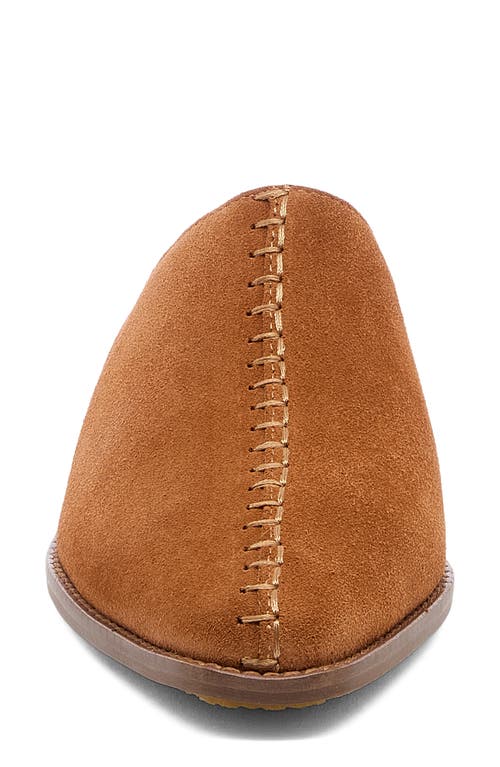 Kelsi Dagger Brooklyn Pierce Mule In Brown