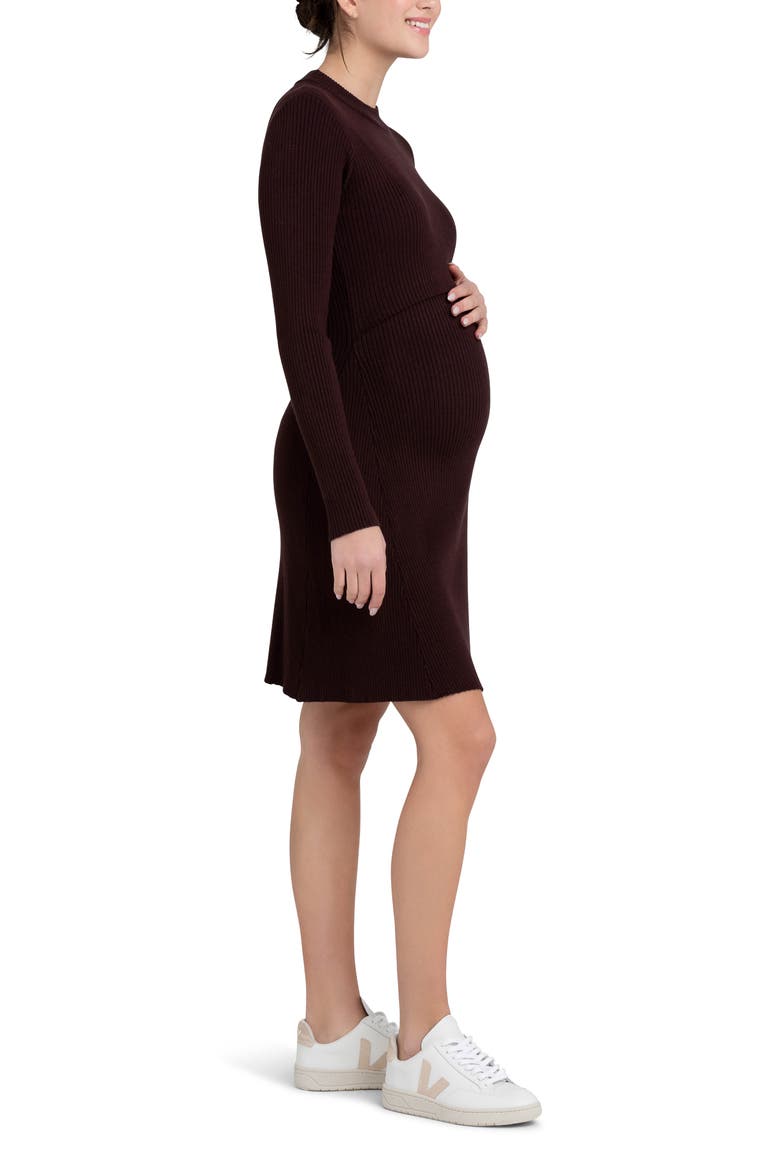Hailey Rib Long Sleeve Maternity/Nursing Dress, Alternate, color, CHOCOLATE
