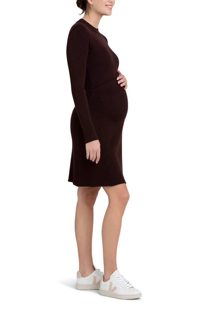 Ripe Maternity Hailey Rib Long Sleeve Maternity/Nursing Dress, Alternate, color, 